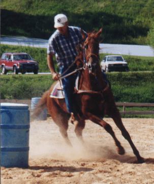 Thoroughbred mare