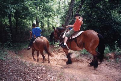 On the trail